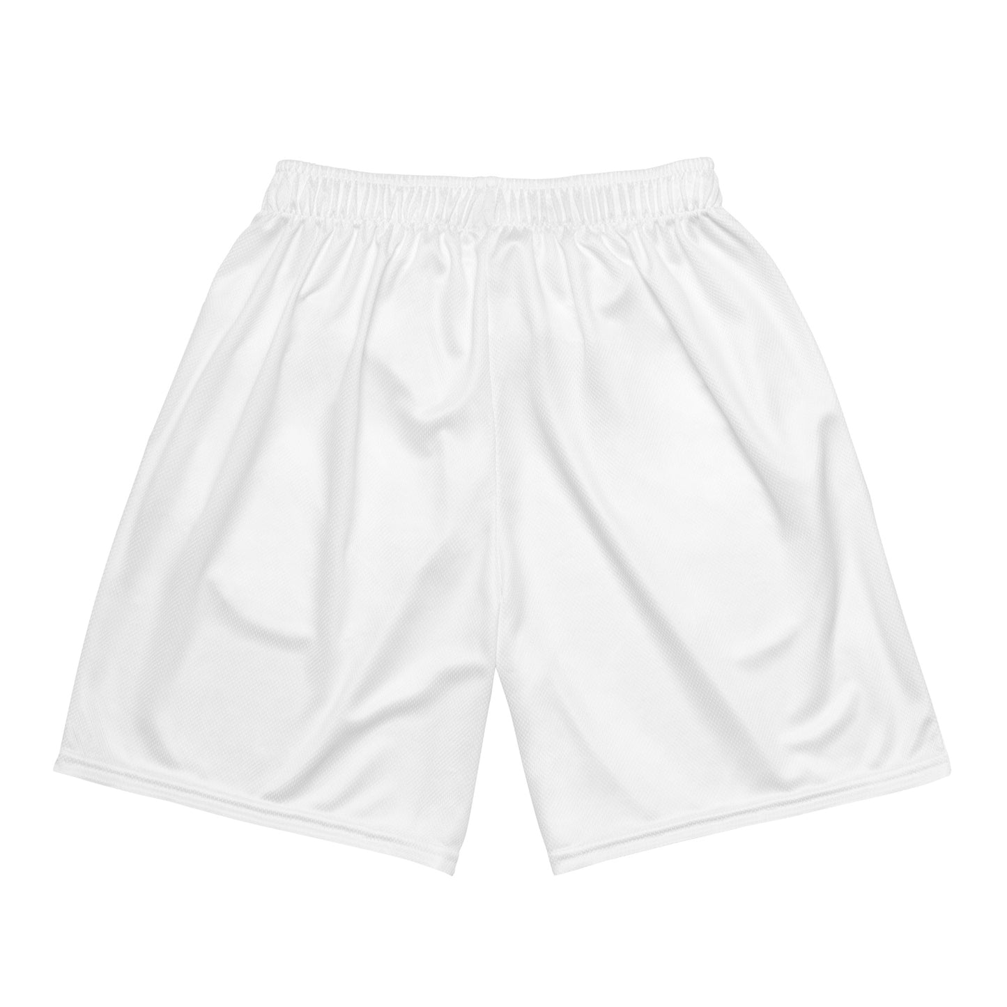 Palm Coast Classic mesh shorts